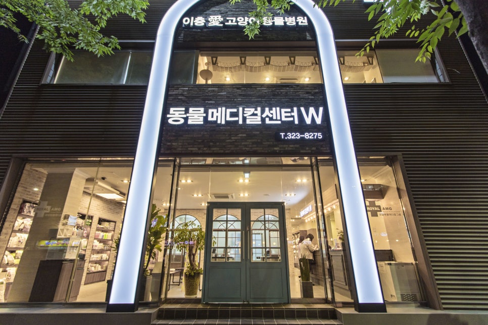 동물메디컬센터W