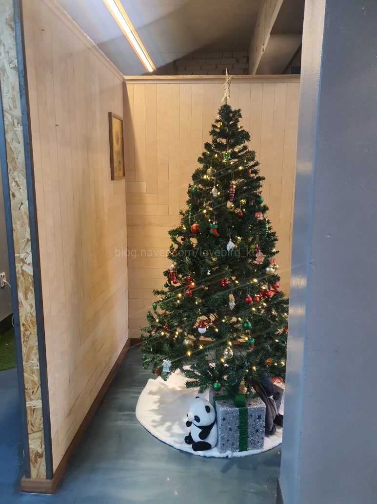 카페락락 이미지