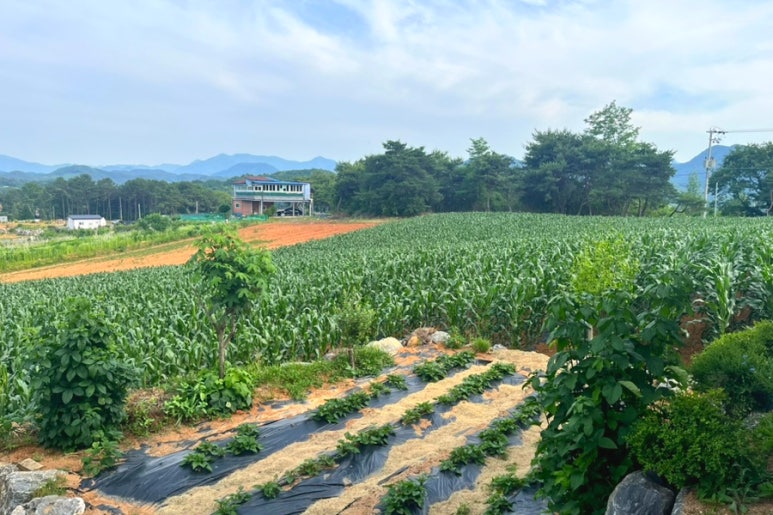 이끼베이커리 강변점 이미지