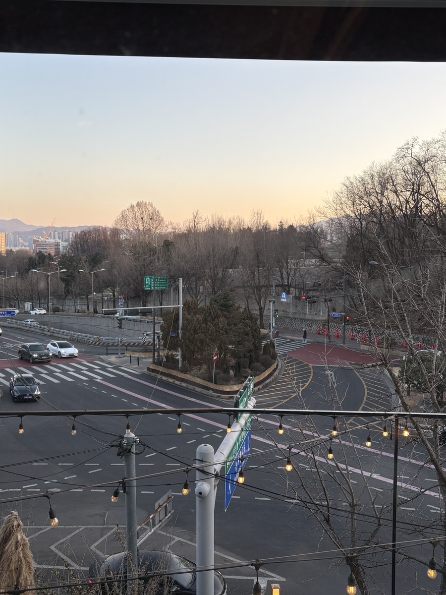 핌피 사진 7