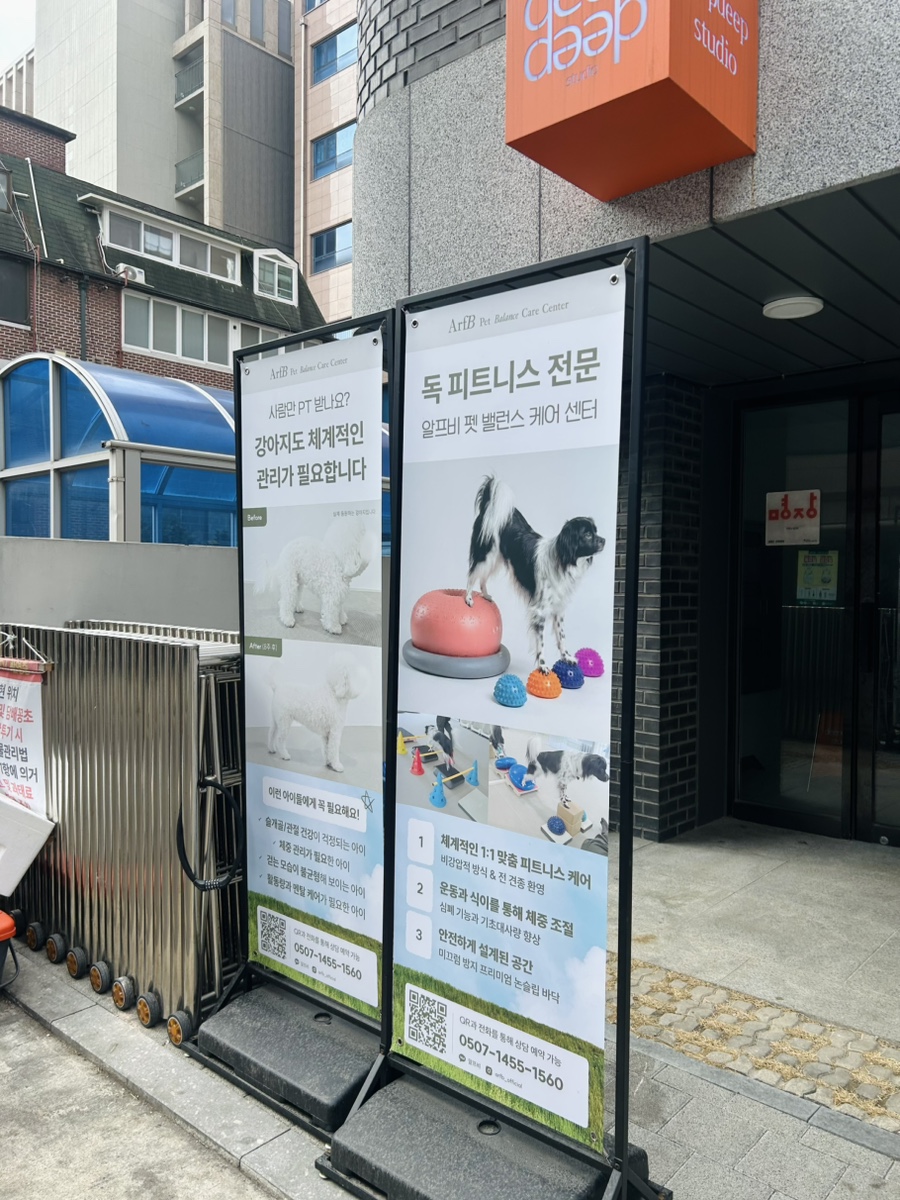 송파 강아지 PT, 독피트니스 근력 강화 맞춤 솔루션 — 사진 2