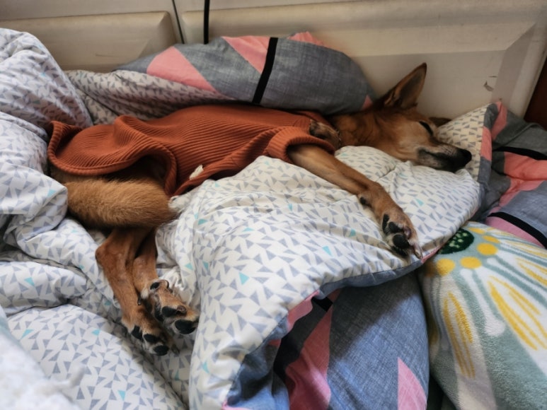 수양개빛터널 이미지