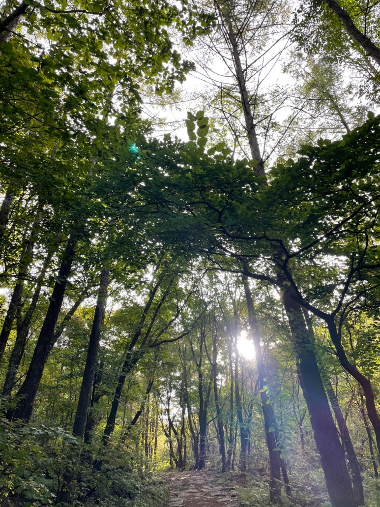 샬롬식당 이미지