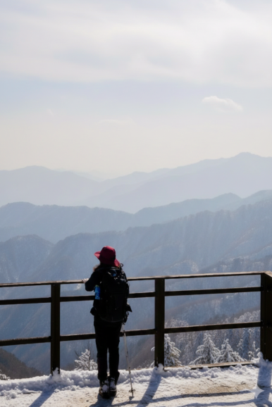 소백산국립공원 죽령탐방지원센터 이미지