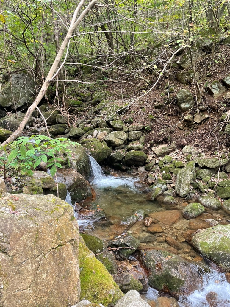 샬롬식당 이미지