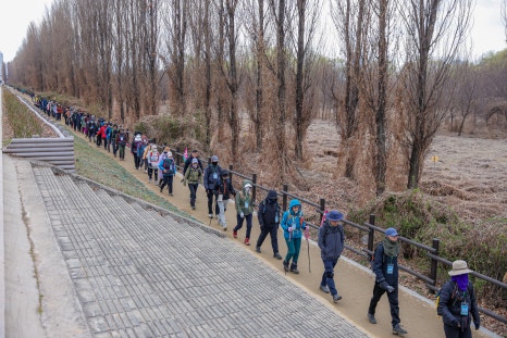 브로콜리 지역정보 관련 사진 5