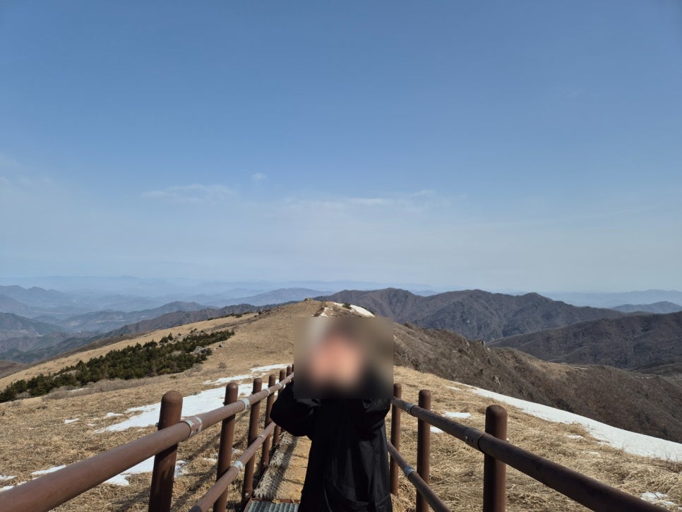 샬롬식당 이미지