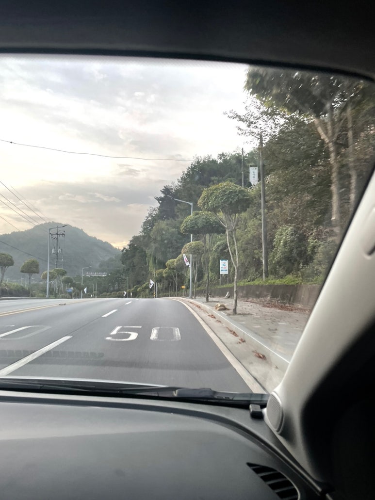 샬롬식당 이미지