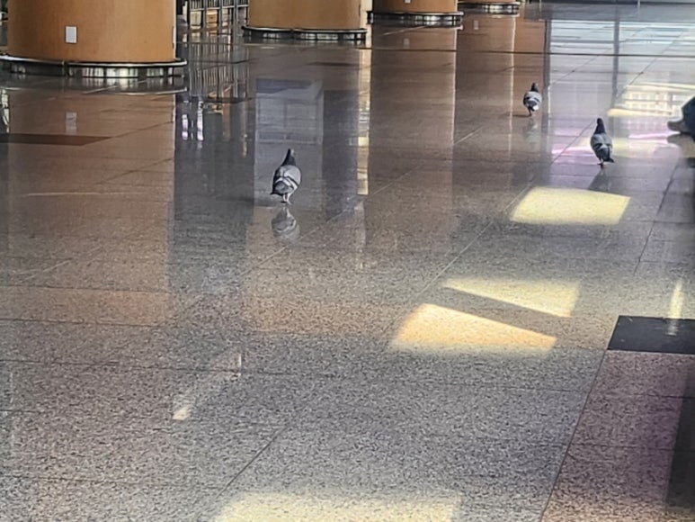 수양개빛터널 이미지