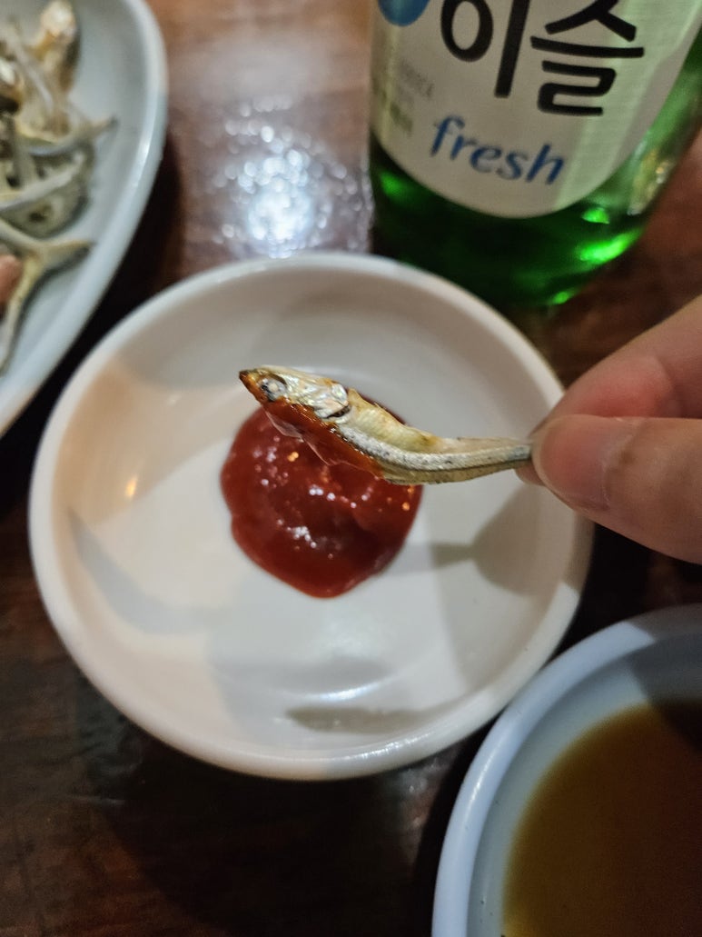 토마토 사진 7
