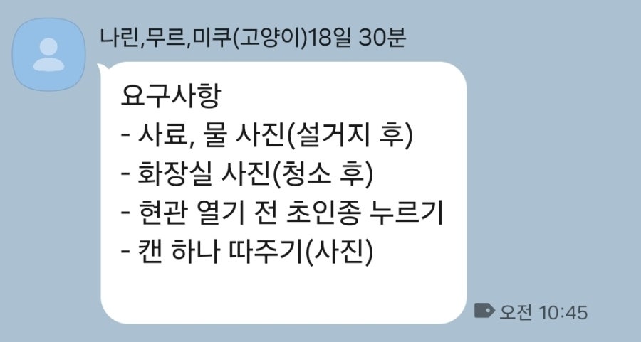 인천 부평 고양이 방문 펫시터 서비스 후기 — 사진 3