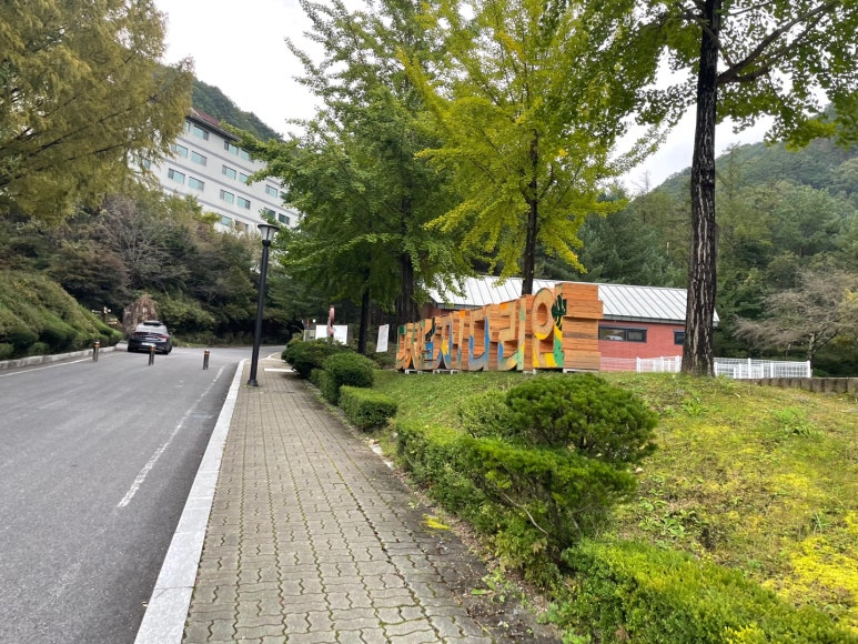 샬롬식당 이미지