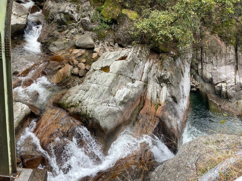 샬롬식당 이미지