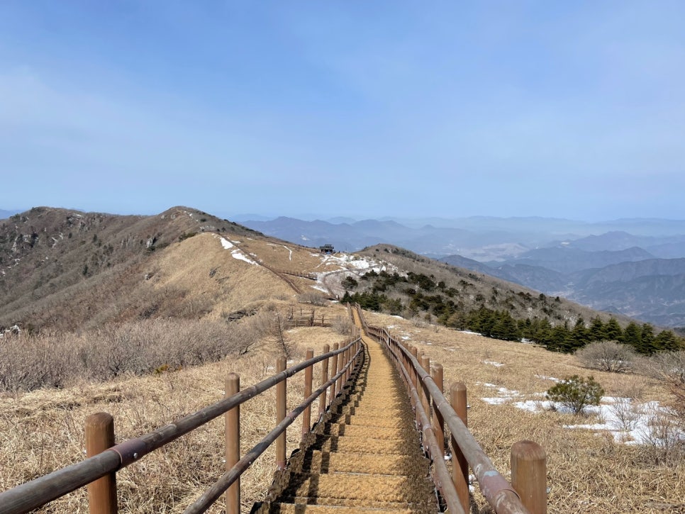 샬롬식당 이미지