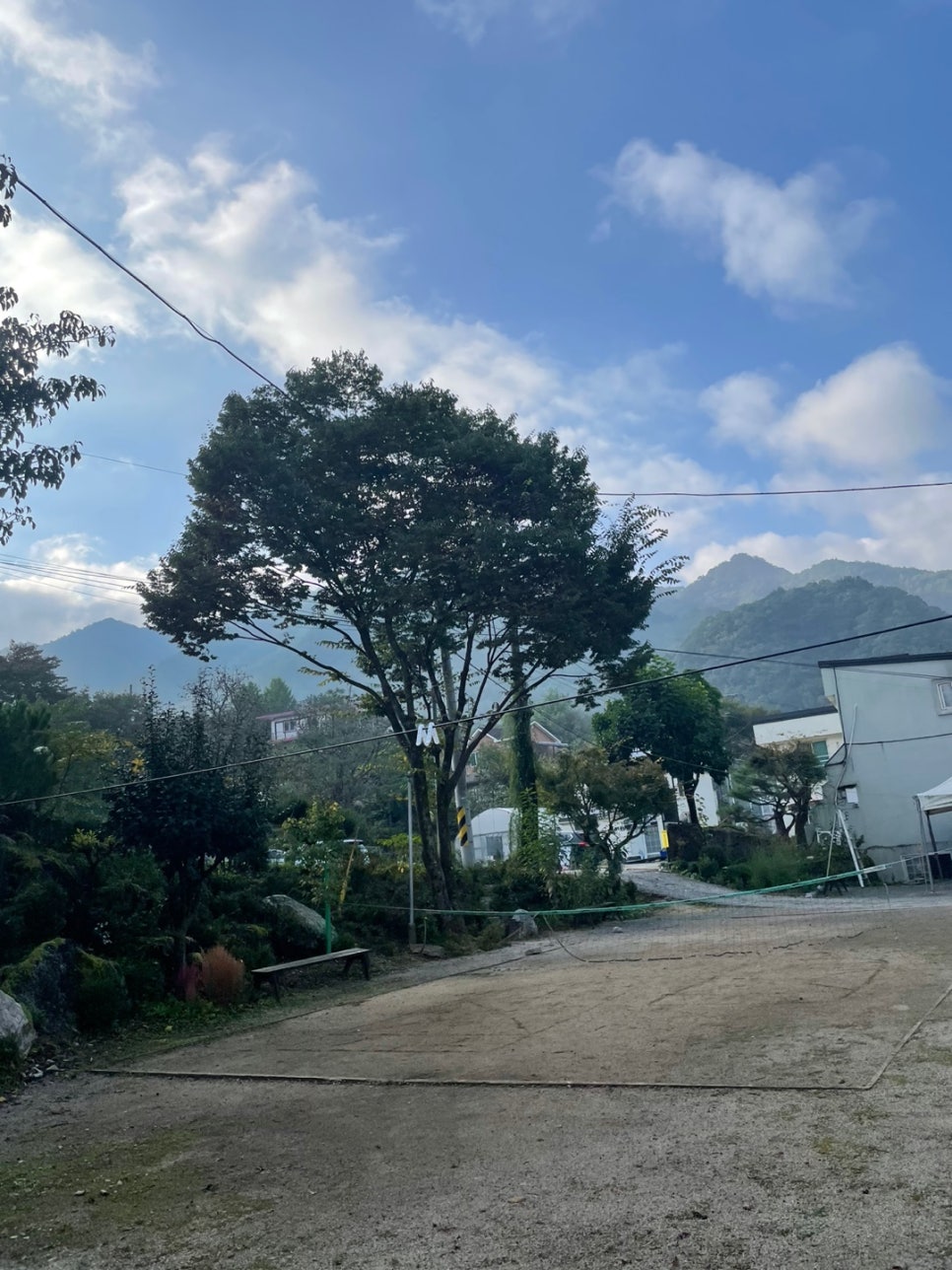 샬롬식당 이미지