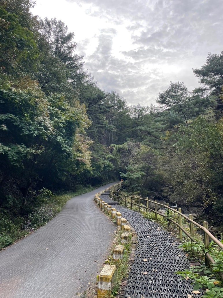 샬롬식당 이미지