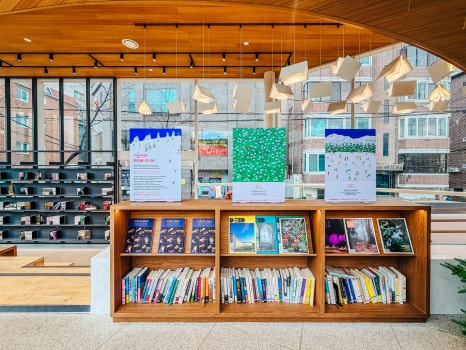 브로콜리 지역정보 관련 사진 18