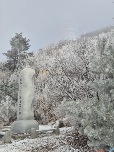 소백산국립공원 죽령탐방지원센터 이미지