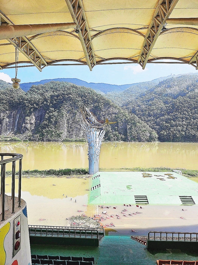 너마늘위한치킨 이미지