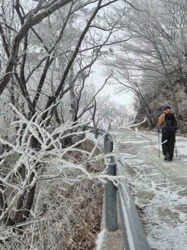 소백산국립공원 죽령탐방지원센터 이미지