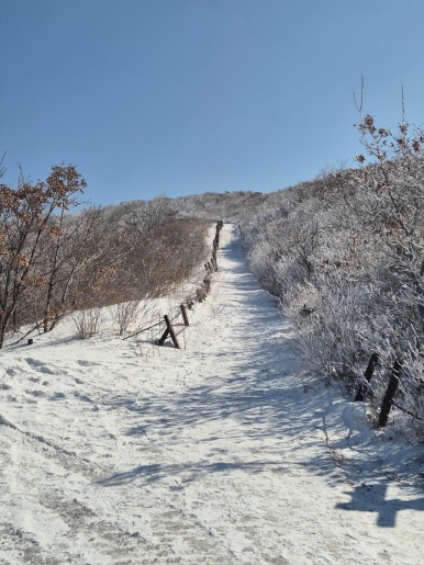 소백산국립공원 죽령탐방지원센터 이미지