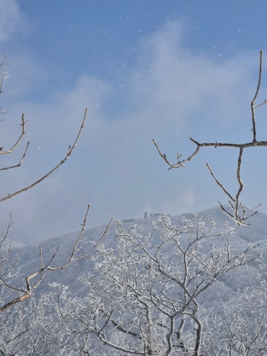 소백산국립공원 죽령탐방지원센터 이미지