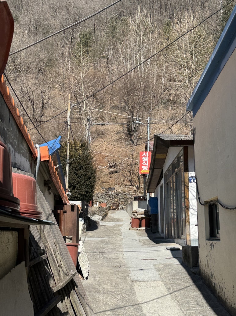 서울식당 이미지