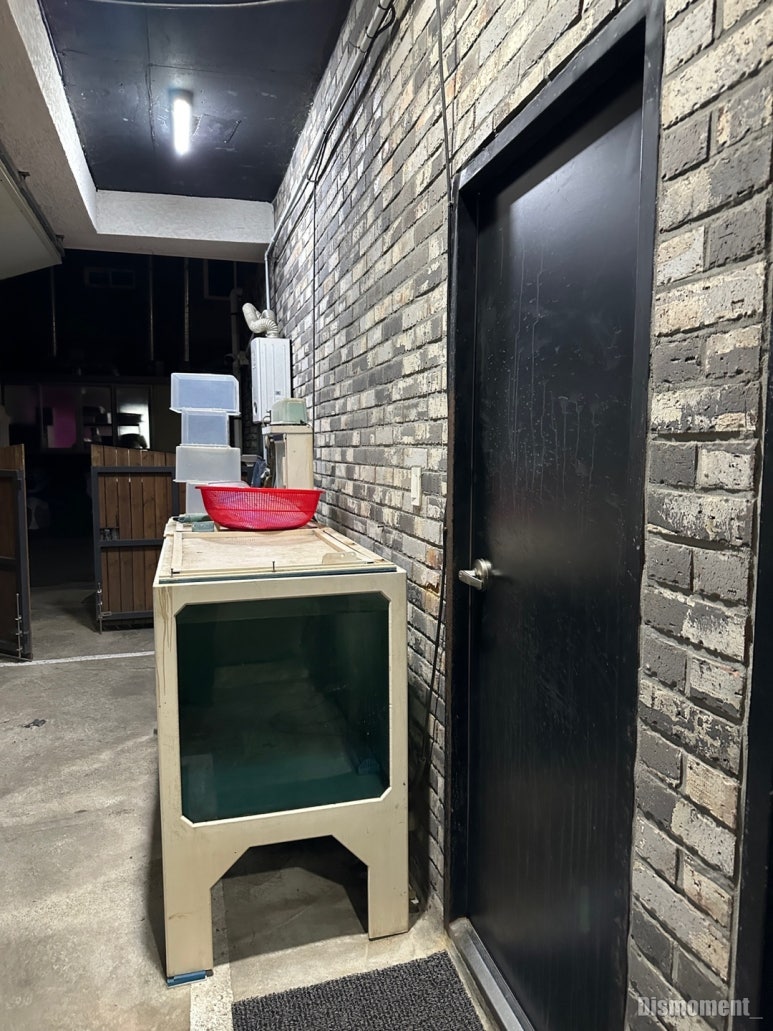 모모 사진 5