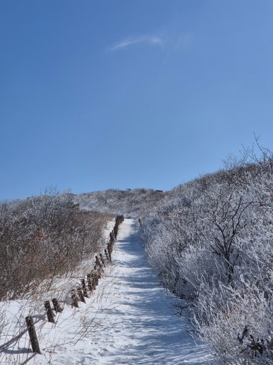 소백산국립공원 죽령탐방지원센터 이미지