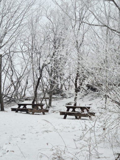소백산국립공원 죽령탐방지원센터 이미지