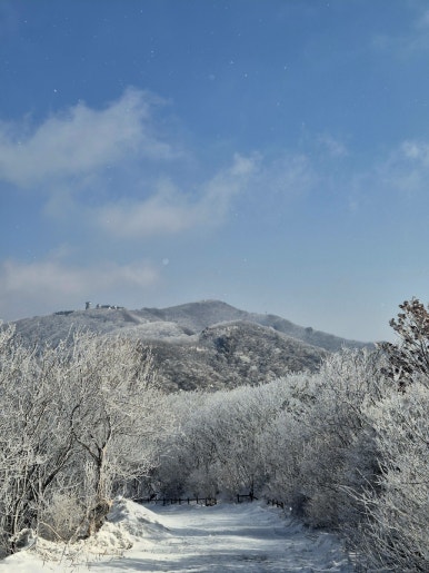 소백산국립공원 죽령탐방지원센터 이미지