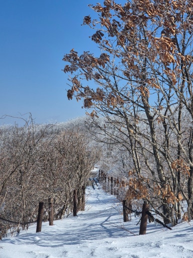 소백산국립공원 죽령탐방지원센터 이미지