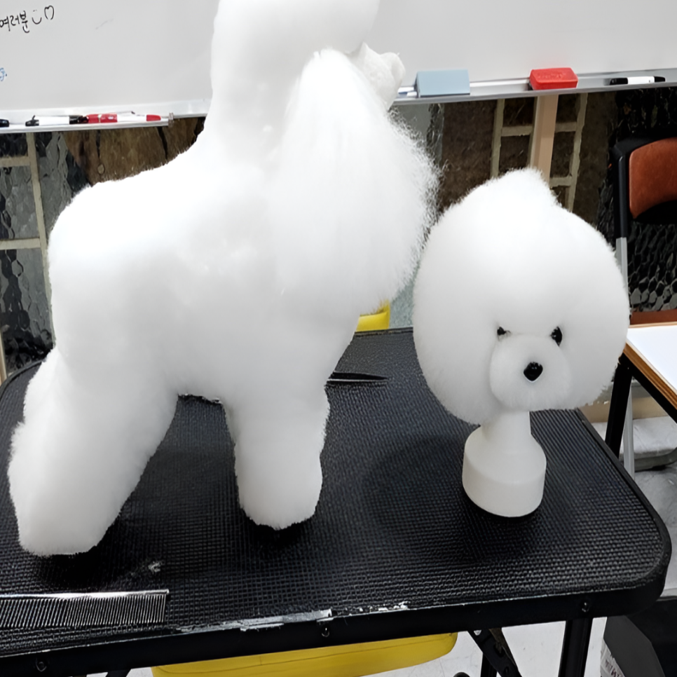 대구 강아지 미용학원 비용, 자격증 취득 주말반 후기 — 사진 2