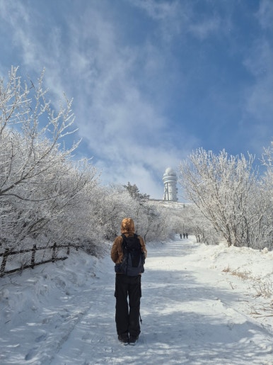 소백산국립공원 죽령탐방지원센터 이미지