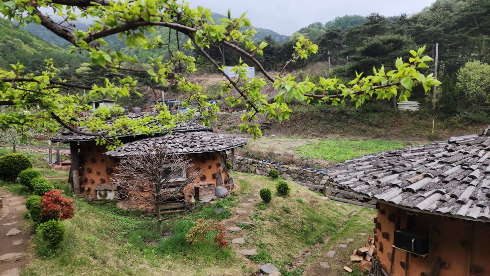 가고픈흙집 이미지