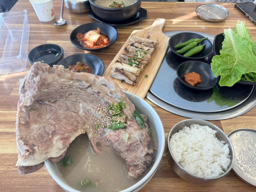 제주 겨울 제주 2박 3일 여행 2일차: 동백꽃부터 흑돼지까지 알찬 코스