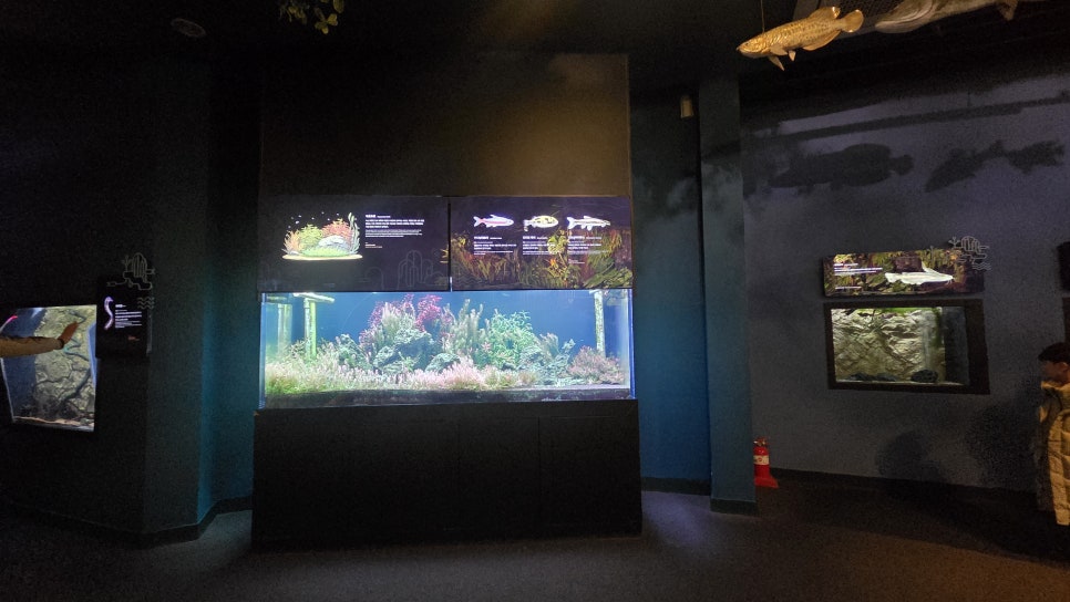 다누리아쿠아리움 이미지