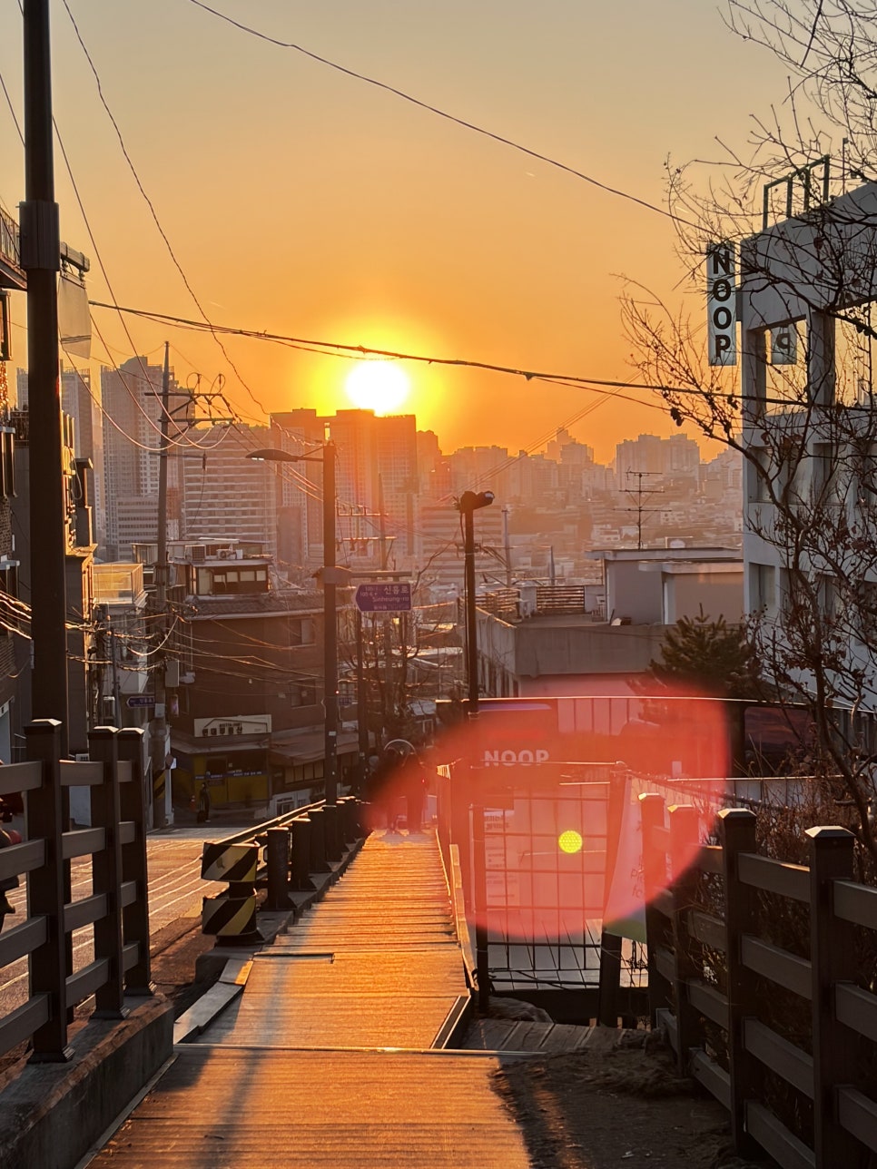 놋트 사진 7