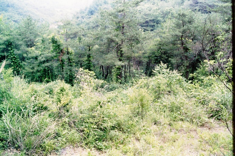 영월명품곰탕 이미지