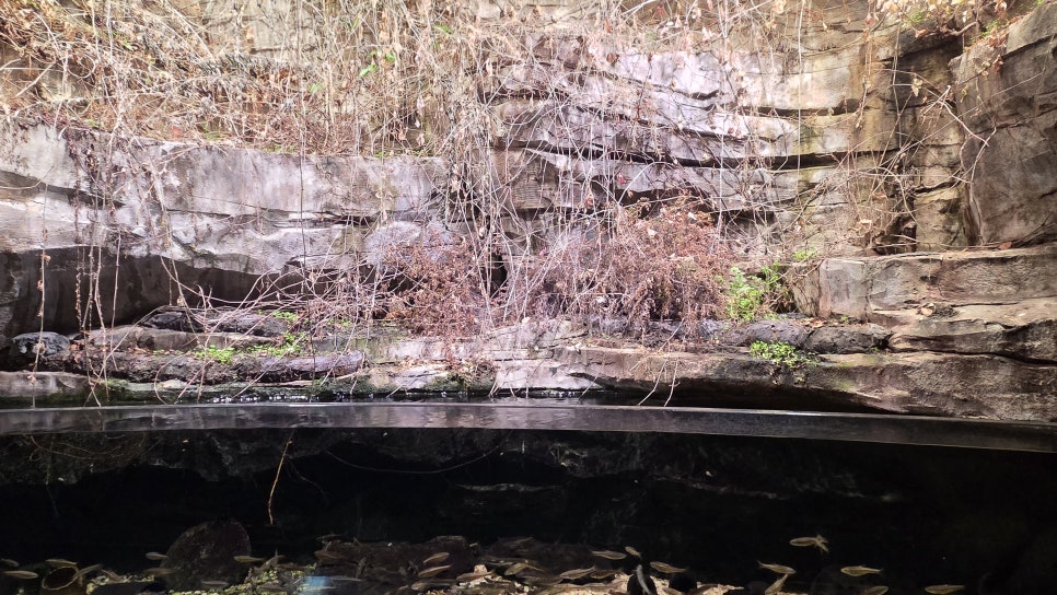 다누리아쿠아리움 이미지