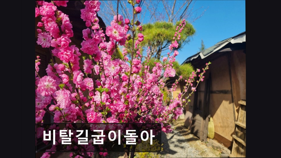 비탈길굽이돌아 이미지