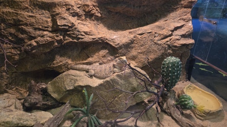 다누리아쿠아리움 이미지