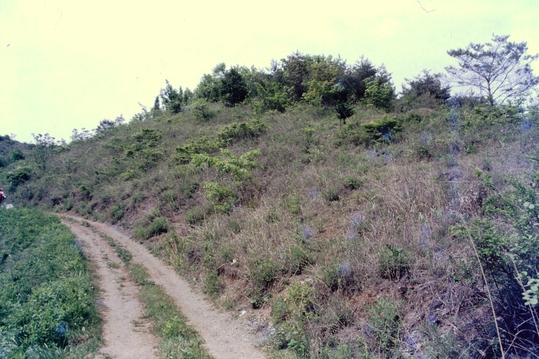 영월명품곰탕 이미지