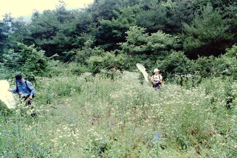 영월명품곰탕 이미지