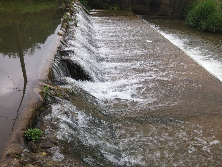 영월명품곰탕 이미지