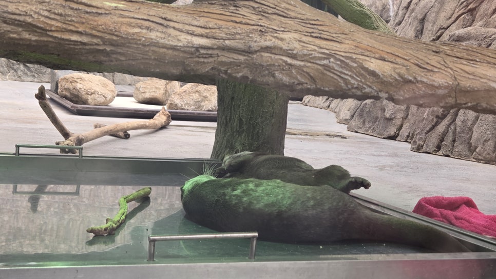 다누리아쿠아리움 이미지