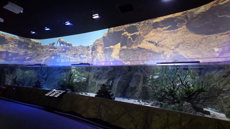 다누리아쿠아리움 이미지