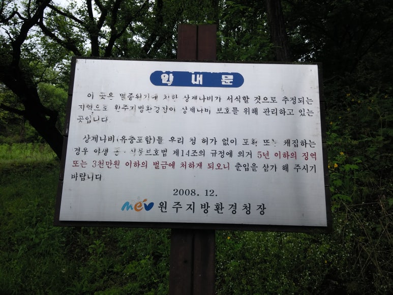 영월명품곰탕 이미지