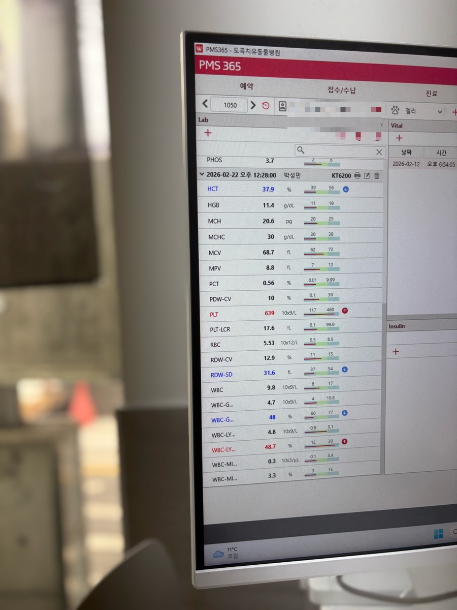 도곡 치유 동물병원: 강남 24시 응급진료 및 건강검진 비용 — 사진 14