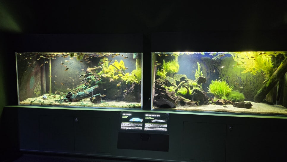 다누리아쿠아리움 이미지